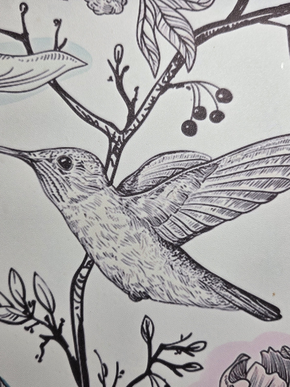 Live Show Listing Random Pulls Xs To 3x